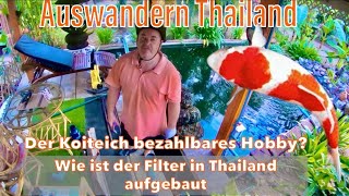 AUSWANDERN THAILAND ist mein Hobby in Thailand bezahlbar Aufbau amp Reinigung des Filters 35m³ Teich [upl. by Idell]