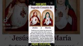 Sagrados Corazones de Jesús y María en Vos confiamos 🙏✨️❤️‍🔥❤️‍🔥❤️‍🔥🕊🔥🌿 [upl. by Nylla254]