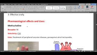 ANS Parasympathomimetic drugs [upl. by Sosthina674]