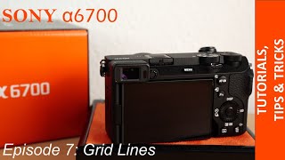 How to activate Grid Lines Rule of Thirds in your Sony Alpha a6700  Fast amp Easy Tutorial [upl. by Adrial]