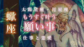 ♏️蠍座さん🌟願望実現 安定した実力を発揮できます ムダを省いてこだわりを貫く🌟しあわせになる力を引きだすタロットセラピー [upl. by Idnerb779]