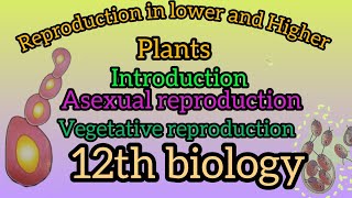 Part 1 Reproduction in lower and Higher plantsyoutubevideos [upl. by Nitsraek]