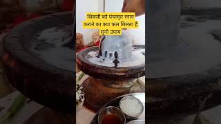 शिवजी पर पंचामृत स्नान कराने का क्या फल मिलता हैसुनो उपाय shortvideopanditpradeepjimishraupay [upl. by Freeland]