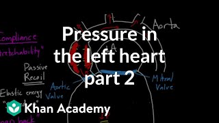 Pressure in the left heart  part 2  Circulatory system physiology  NCLEXRN  Khan Academy [upl. by Yeorgi]