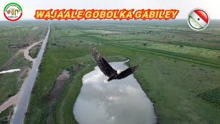 Wajaale Gobolka Gabiley [upl. by Mckeon]