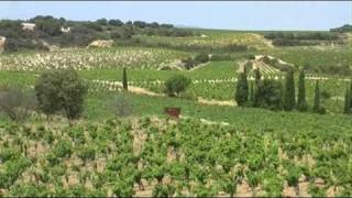 chateauneuf du pape [upl. by Hollenbeck]