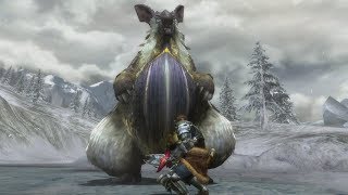 Monster Hunter Generations Ultimate Lagombi Boss Fight 8 MHGU Switch [upl. by Aropizt341]