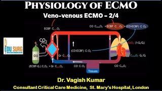 Physiology of ECMO  What is ECMO  Lifesaving support for failing lungs  VV ECMO explained [upl. by Aehr]