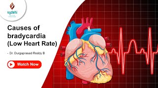 Causes of bradycardia Low Heart Rate  Dr Durgaprasad Reddy B [upl. by Erasaec]