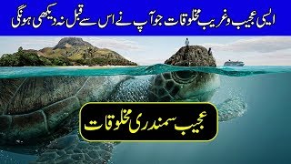 Mysterious Underwater Creatures Caught on Camera  Purisrar Dunya  Urdu Documentaries [upl. by Cut]