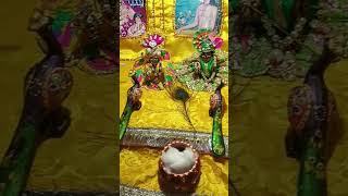 Àarti sewa pyareladdu shreeradhakrishna sanatandharma shrijeeshorts [upl. by Ennis]