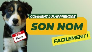 Comment apprendre à mon chien son nom  🐶❓🤷‍♀️ [upl. by Dyrrej543]