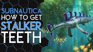 How to get Stalker Teeth in SUBNAUTICA [upl. by Laikeze778]