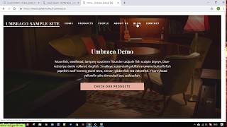 Umbraco 8 Cloud  Create and Publish an Umbraco Package [upl. by Aronoel]