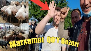 Marxamat Tumani QOY Bozori  Мархамат Тумани КУЙ Бозори 02052021 [upl. by Evvy]