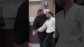 Steven Seagal Aikido Techniques  Aikido for real fight [upl. by Arrotal]