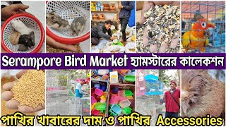 Serampore bird market Cage Bird food price update 💥।Serampore pet market location।serampore birds [upl. by Madi442]