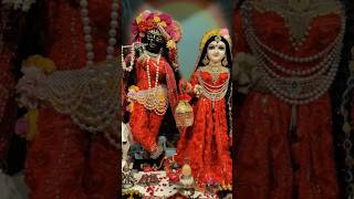 Radhe Radhe 🙏🏻 radheradhe radheshyam shyamaaanbaso premmandirvrindavan chanderhat radharani [upl. by Haerdna]