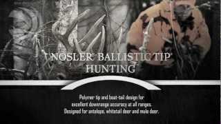 Bullet Performance Federal Premium Nosler Ballistic Tip Hunting [upl. by Halyahs]