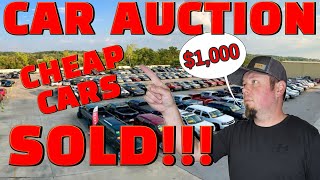 Where Do Car Dealers Get Their Cars INSIDE LOOK At Dealer Auctions [upl. by Ialokin]