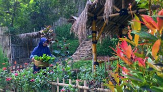 Masakan kampung sederhana amp nikmat  semua ada di kebun  Hidup di Desa [upl. by Kip]