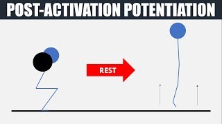 Post Activation Potentiation  Theory and Practical Application [upl. by Trubow788]