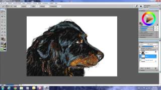 Tutoriel peindre un chien avec Corel Painter [upl. by Sylirama373]