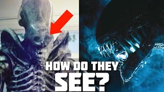 How do Xenomorphs SEE  Alien Romulus [upl. by Retrak]