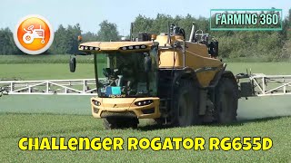 Spraying 2022  Challenger RoGator RG655D self propelled sprayer in action [upl. by Epps]