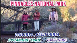 The Deers and Bridges of Sycamore Trail Pinnacles National Park Paicines California [upl. by Nawiat]