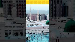 Wo Mera Nabi HaiNew Naat 2024viraltrendingviralnaatmadinamuhammadpopularstatusمدینہمحمد [upl. by Eissat808]