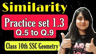 Similarity  Problem Set 1 Lecture 2 SSC Class 10 Geometry  Maths Part 2  Maharashtra State Board [upl. by Micki]