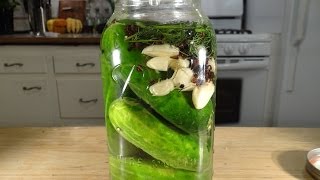 Homemade Dill Pickles Lactofermented [upl. by Dnalyaw893]