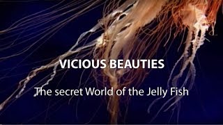 ► Vicious Beauties  The Secret World Of The Jellyfish Full Documentary HD [upl. by Nwahsor]