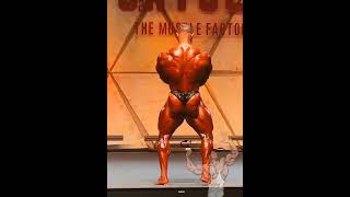 Behrouz Tabani posing routine Dubai pro bodybuilding show [upl. by Aromat902]