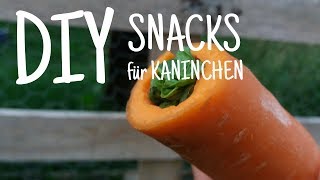 3 DIY Snacks für Kaninchen 🍎🐇  Kaninchenstar [upl. by Gen]