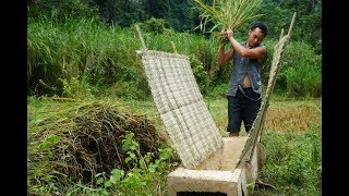 Primitive Skills How to Harvest Rice [upl. by Bolte]