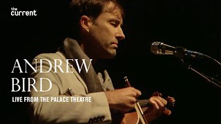 Andrew Bird  full concert My Finest Work Yet tour 92719 The Current [upl. by Yhtommit410]