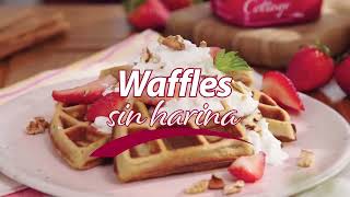 Waffles sin Harina [upl. by Rasure12]