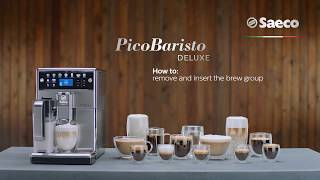 Saeco Picobaristo Deluxe  How to handle the brew group [upl. by Anitac]