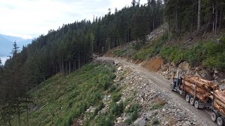 Logging Trio creek West Harrison British Columbia [upl. by Bridge374]