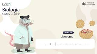 El lisosoma [upl. by Dougy980]