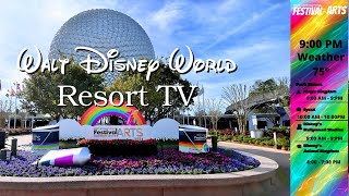 Disney Resort TV  WDW Today Channel  January 23 2024 [upl. by Jori]