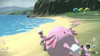 Chansey just chilling Pokemon Legends Arceus [upl. by Cooe58]