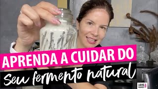 TUDO QUE EU QUERIA SABER SOBRE O FERMENTO NATURAL [upl. by Lynde]