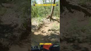 Giro della domenica Emtb emtb gopro enduro shortvideo rockymountain shorts short [upl. by Cirdec]