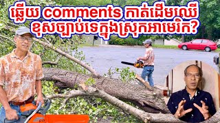 ឆ្លើយ comment ការកាប់ព្រៃឈើនៅស្រុកអាមេរិកនិងស្រុកខ្មែរ [upl. by Umont]