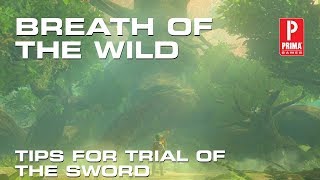 The Legend of Zelda Breath of the Wild  Trial of the Sword Tips [upl. by Paluas]