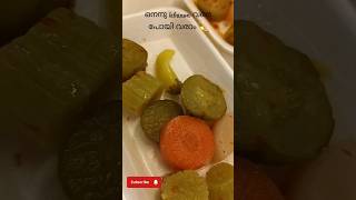 Trying lebanon food crispy meal laffah subscribe support [upl. by Ereveniug]