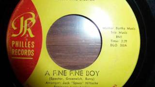 Darlene Love  A Fine Fine Boy [upl. by Aneroc]